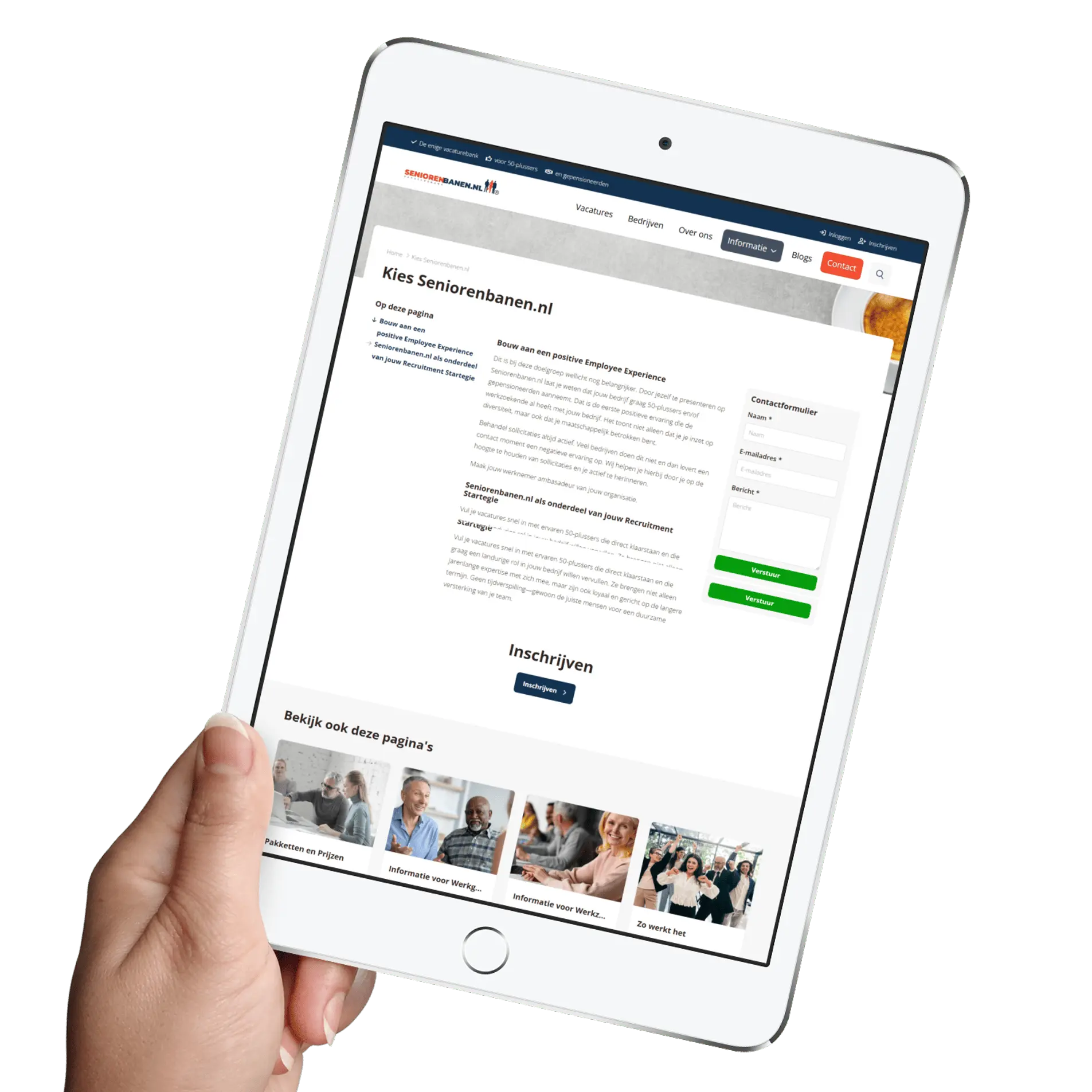 Exklusive Jobsearch Jobsite einrichten